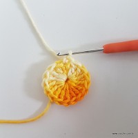 Flor rasteirinha premium passo a passo (5)