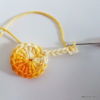 Flor rasteirinha premium passo a passo (8)