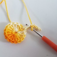 Flor rasteirinha premium passo a passo (9)