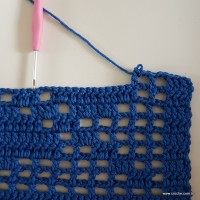 Tapete azul passo a passo (116)
