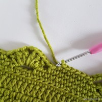 Tapete musgo em crochê passo a passo (219)